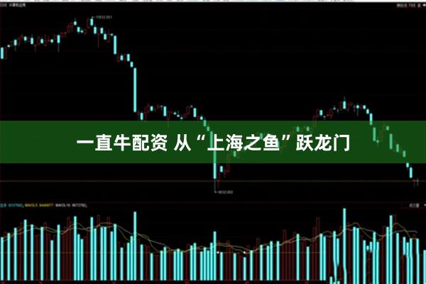 一直牛配资 从“上海之鱼”跃龙门