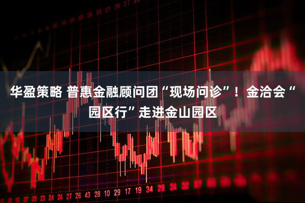 华盈策略 普惠金融顾问团“现场问诊”！金洽会“园区行”走进金山园区