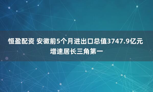恒盈配资 安徽前5个月进出口总值3747.9亿元 增速居长三角第一
